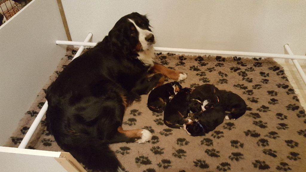 photos de June et ses petites princesses